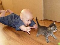 pic for child with small cat